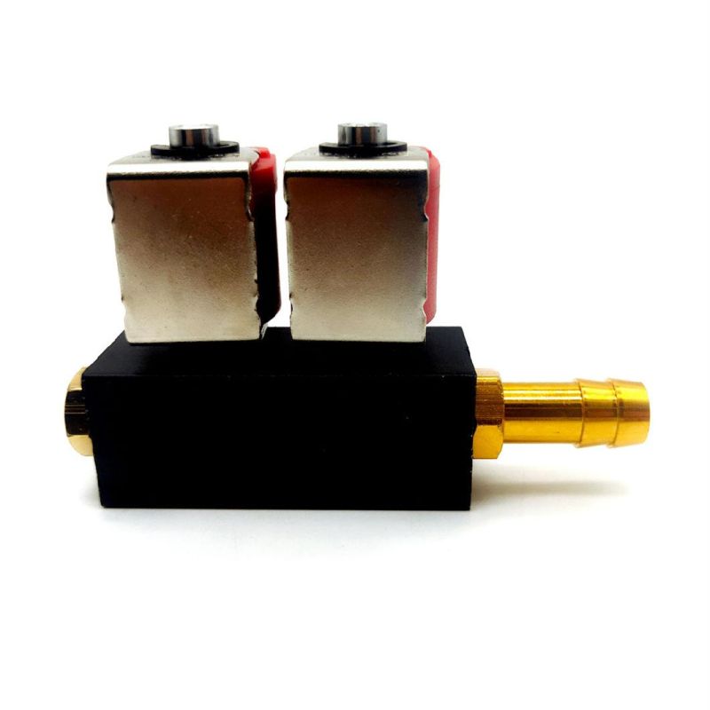 Llano Red 2 Cylinder CNG LPG Injector Rail Ln-Lvtk02 for Electronic Fuel Injection System