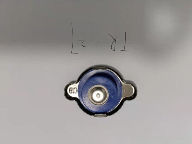 Stainless Steel Radiator Cap