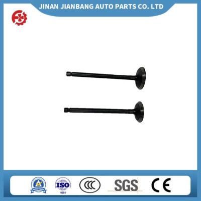 Intake Valve and Exhaust Valve