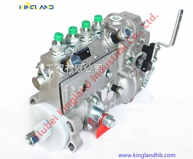 Diesel Engine Parts 4bt3.9-G1 Fuel Injection Pump Byc Cpes6a95D320/3RS2162 Dcec 4946526