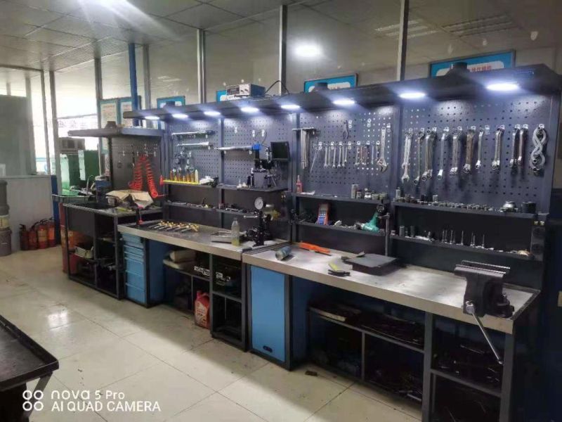 Common Rail Heui C7 Cat3100 Common Rail Injector Repair Parts & Injector Dupplier