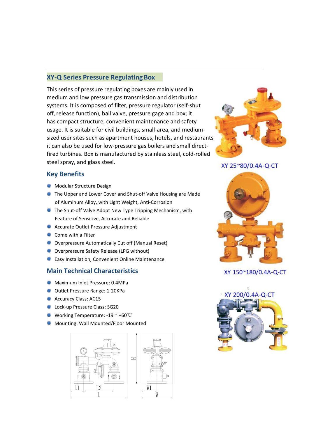Natural Gas CNG Pressure Regulator Gas Reducer