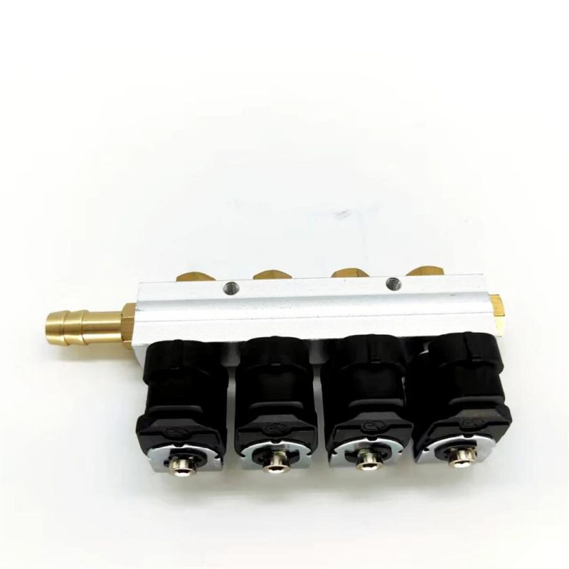 Llano 3ohm 4 Cylinder CNG LPG Injector Rail Ln-Acw04 for 4 Cylinder Automotive Gpl Vng Gnv Conversion Kit
