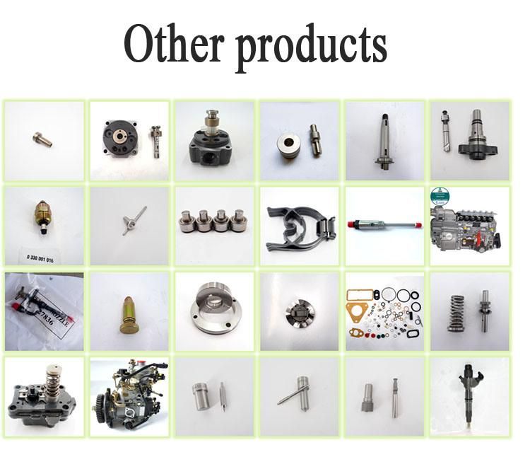 Ve Pump Parts Cam Disk 1 466 110 637 1466110637
