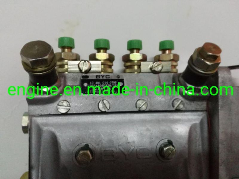4bt3.9-G2 Engine Fuel Injection Pump 4939772 5336065 4933389