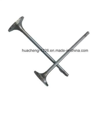 High Quality Engine Valve for Cat C9, D9