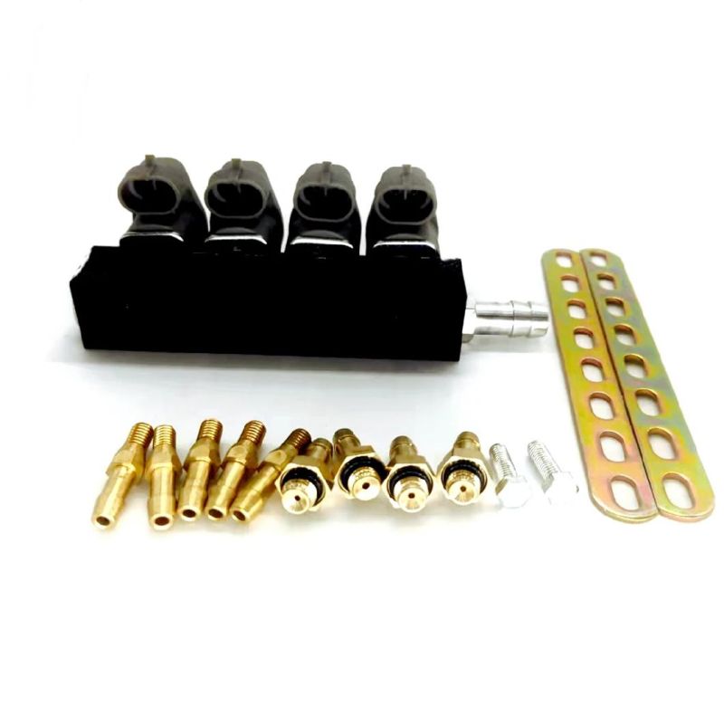 Llano Grey 3ohm CNG LPG Injector Rail Ln-Ig1s for 4 Cylinder Gnv Gpl Engine