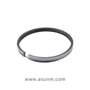 Marine Diesel Engine Piston Ring