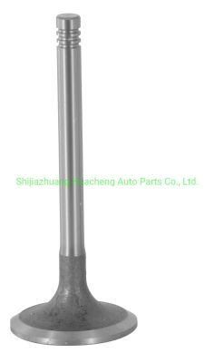 Engine Parts Intake &amp; Exhaust Valve for Ycm3000
