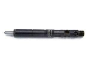 Diesel Engine Parts Auto Parts Common Rail Injector Ejbr05501d