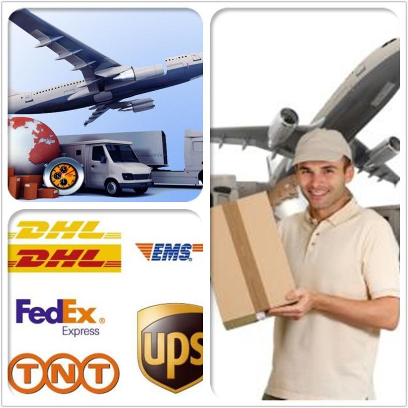 Bosch Fuel Injectors 0445110376/0445110594/0 445 110 376/0 445 110 594 for Isf 2.8 Diesel Engine