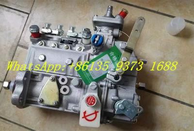 4b3.9 Diesel Engine Fuel Injection Pump 3973846