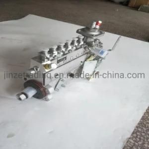 Quality Car Parts Diesel Engine Part Fuel Injection Pump 3971477