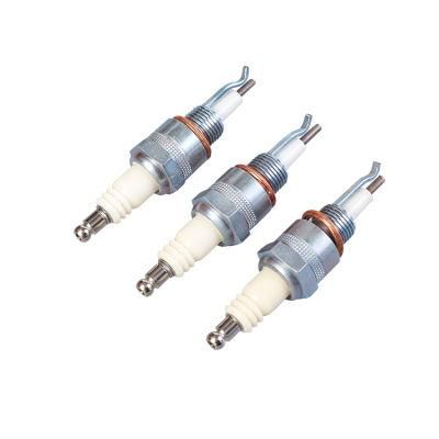 Customized Electrode Spark Plug Ceramic Igniter Spark Igniter Electrodes