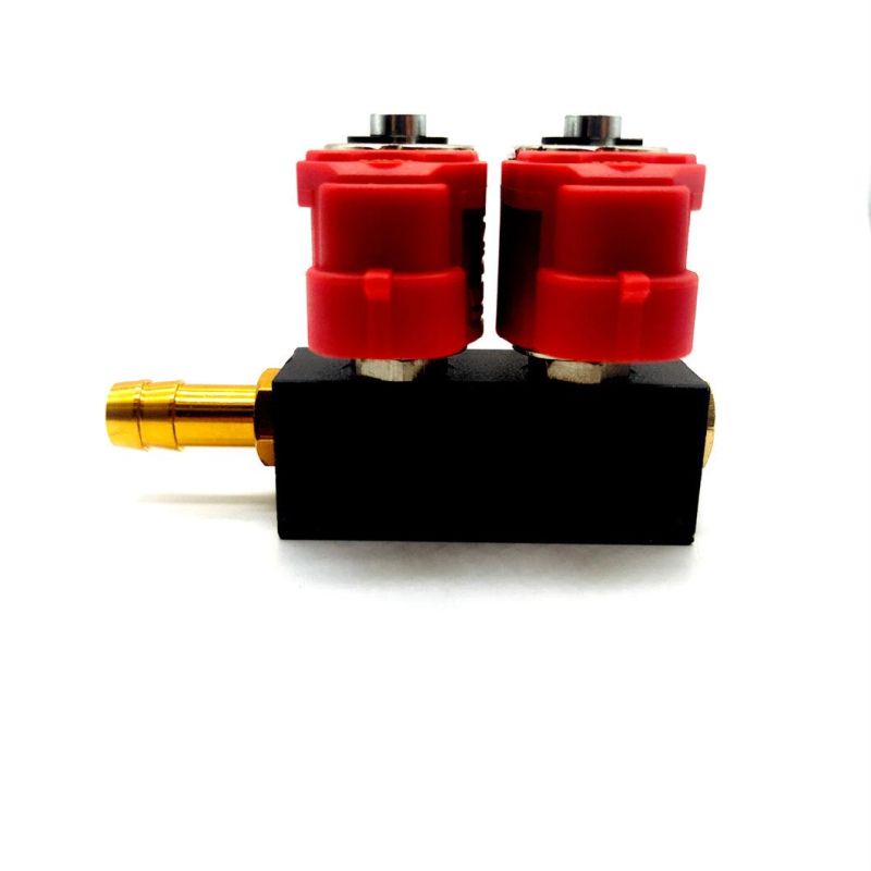 Llano Red 2 Cylinder CNG LPG Injector Rail Ln-Lvtk02 for Electronic Fuel Injection System