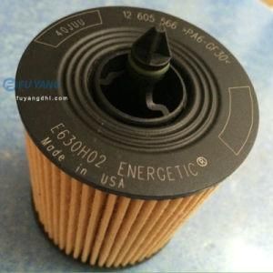Ebuick Regal Fuel Filter; Engine Oil Filter 630h02; Hu6007X Ox258d 14509379
