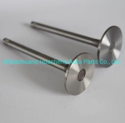 Motor Parts Engine Valve for Cat C121