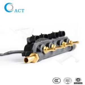 CNG LPG Common Injector Rail High Pressure Fuel Gas Injector