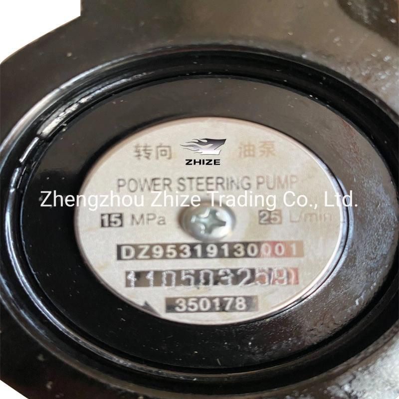 Dz 95319130001 Steering Pump of Wei C H a I