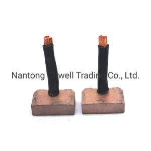 Carbon Brush and Brush Holder of Starter Assembly