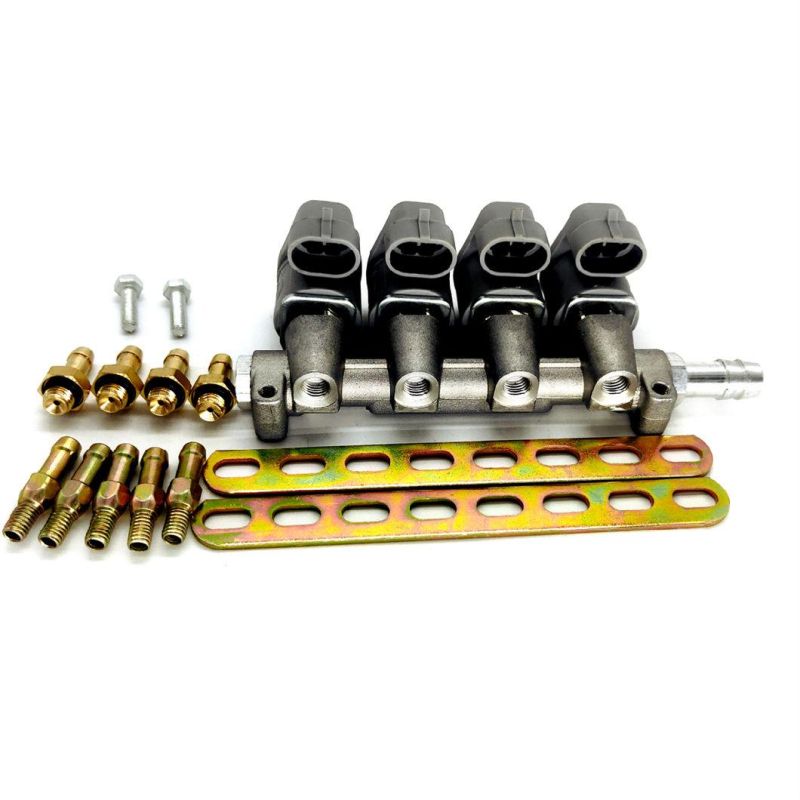 Llano Grey 3ohm 4 Cylinder CNG LPG Injector Rail Ln-Lig1 for Efi Carburetor System