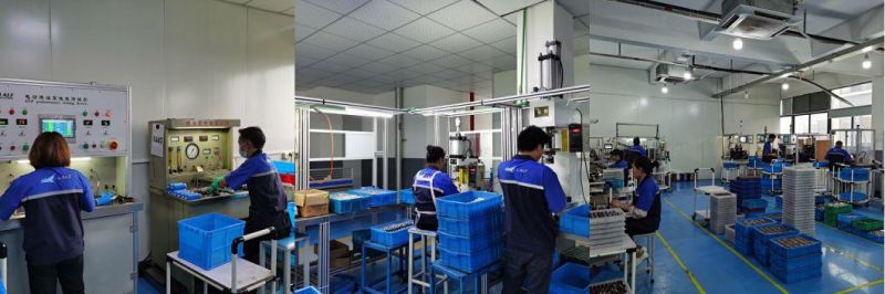 Available Electric Gasoline Motorcycle Fuel Pump for Zoma