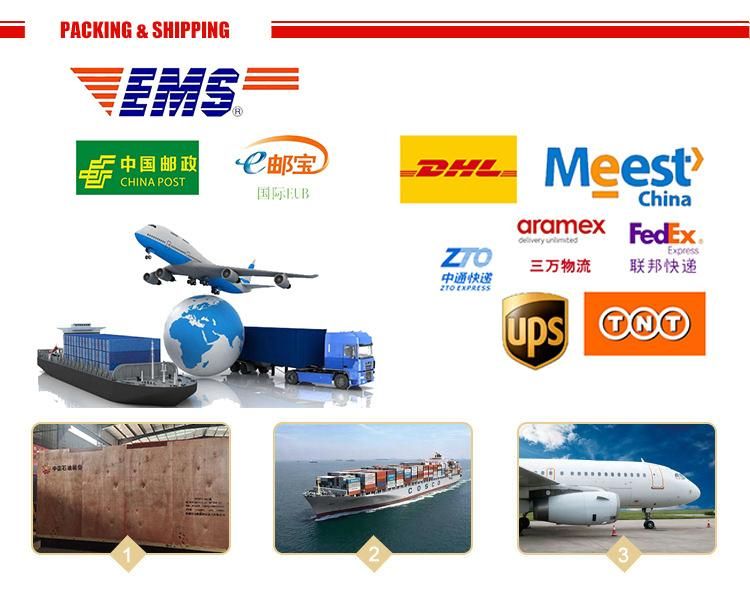 Car Parts Generator Belt Tensioner for Saic Maxus V80 G10 T60 S00001222