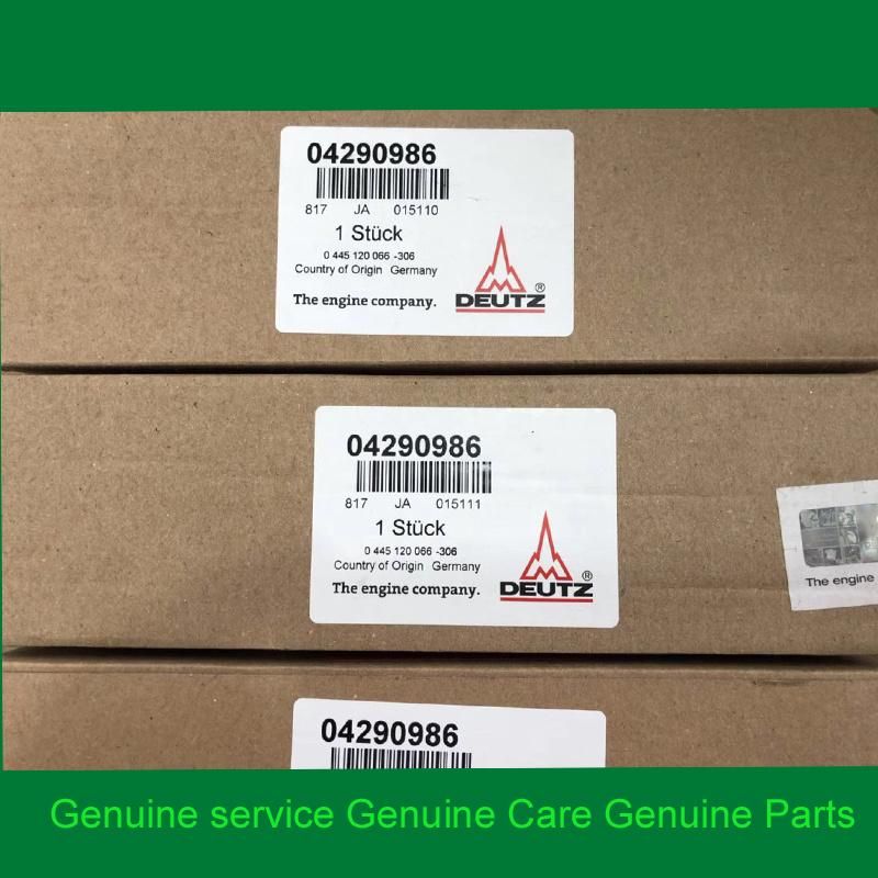 Deutz Engine Spare Parts Injector 04290986
