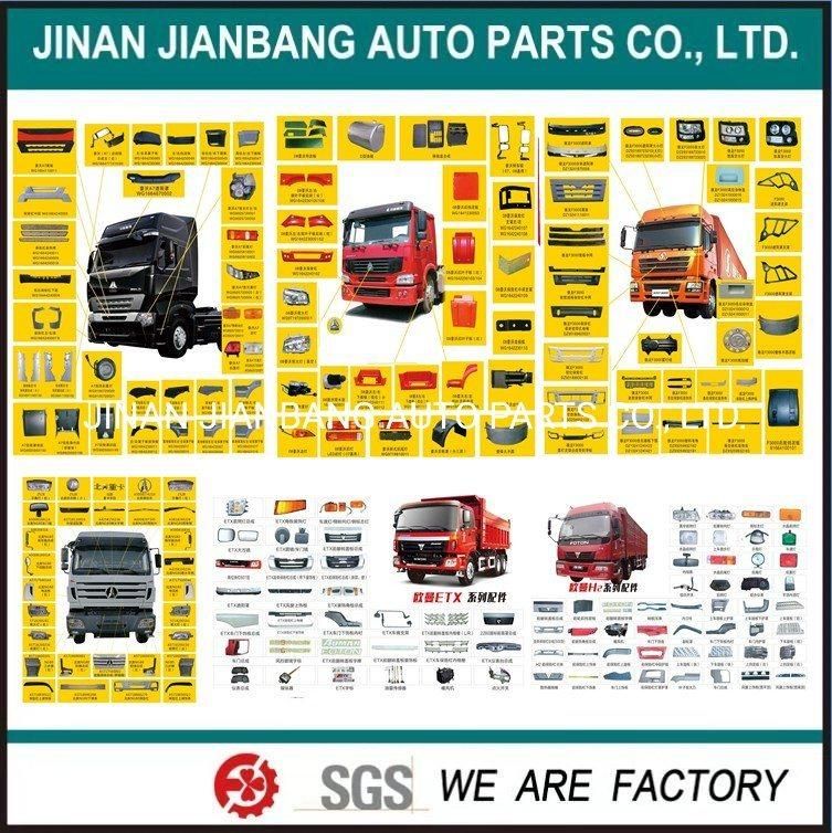 HOWO Shacman FAW Foton Beiben Camc Dfm Truck Spare Parts Engine Parts Injector