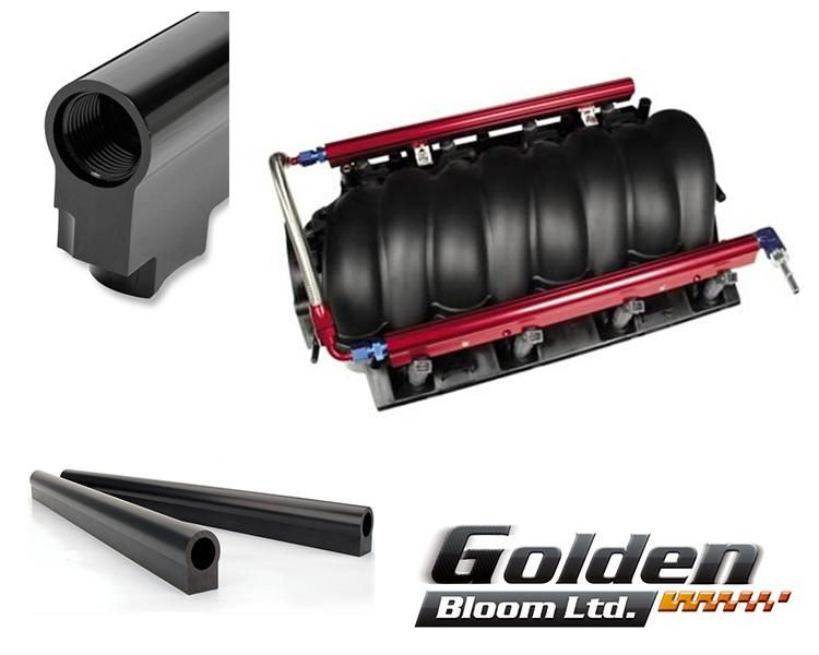 Auto Race Common Billet Aluminum Anodized Efi Fuel Rail Kit for Ls2