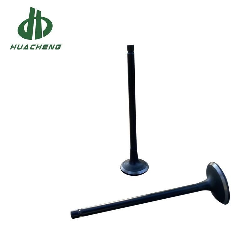 Automobile Part Intake and Exhaust Valve Engine for Hyundai 1.8L