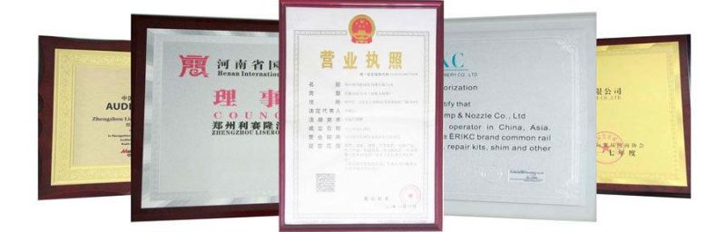 Erikc 295050-0460 Auto Injector 295050 0460 Diesel Fuel Injection 2950500460 Dcri300460 for Toyota 1kd 2kd-Ftv