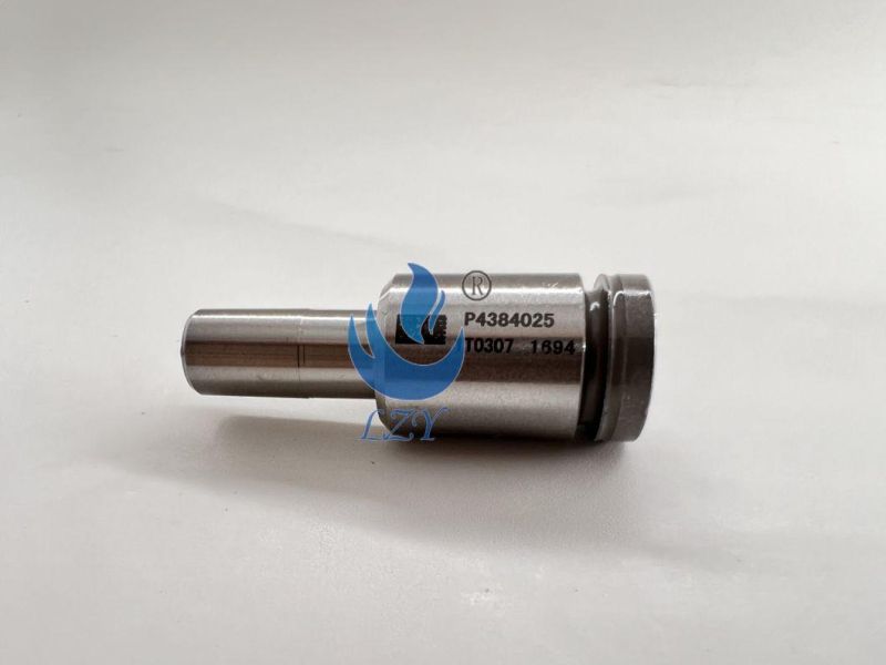 Diesel Engine Parts - Fuel Nozzle P4384025