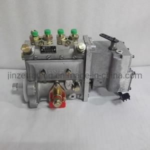Hot Sale Car Parts Qsb Diesel Engine Part Fuel Injection Pump 4939773