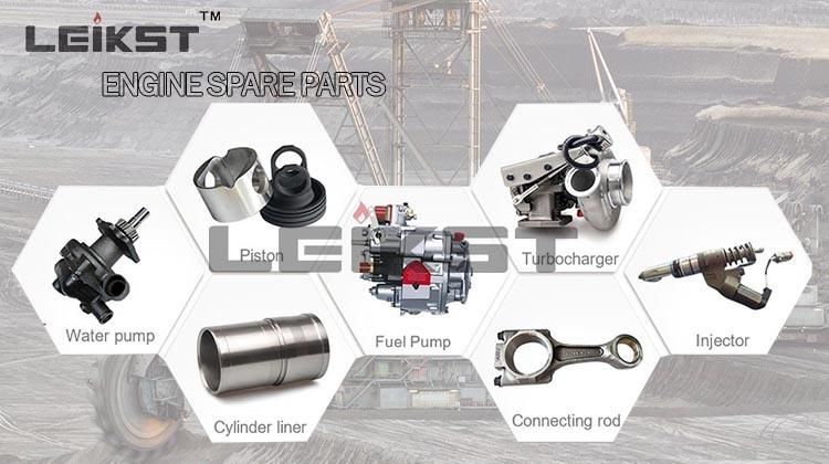 Leikst/Dcec Qsb Engine Fuel Injector and Fuel Injection