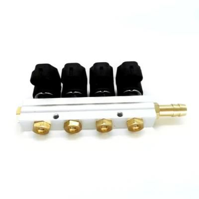 Llano 3ohm 4 Cylinder CNG LPG Injector Rail Ln-Acw04 for 4 Cylinder Automotive Gpl Vng Gnv Conversion Kit