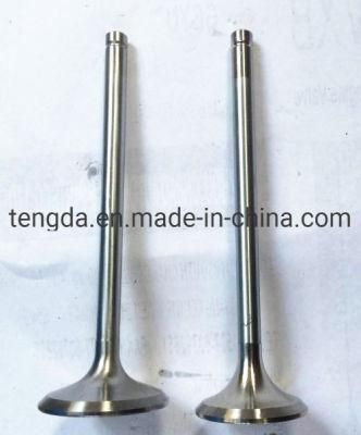 Hot Sale Nt855 Diesel Engine Spare Parts Exhaust Valve 145701 Engine Valve