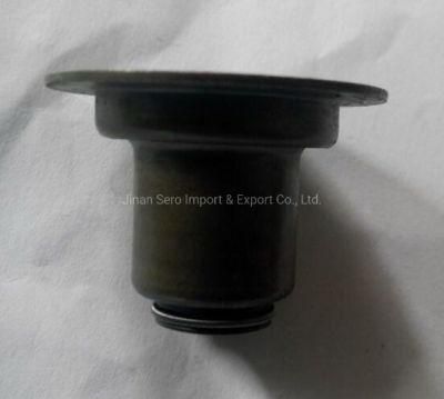 Original Sinotruk HOWO 371 Truck Spare Parts Diseael Engine Parts Natural Gas Valve Oil Seal Vg1246050167