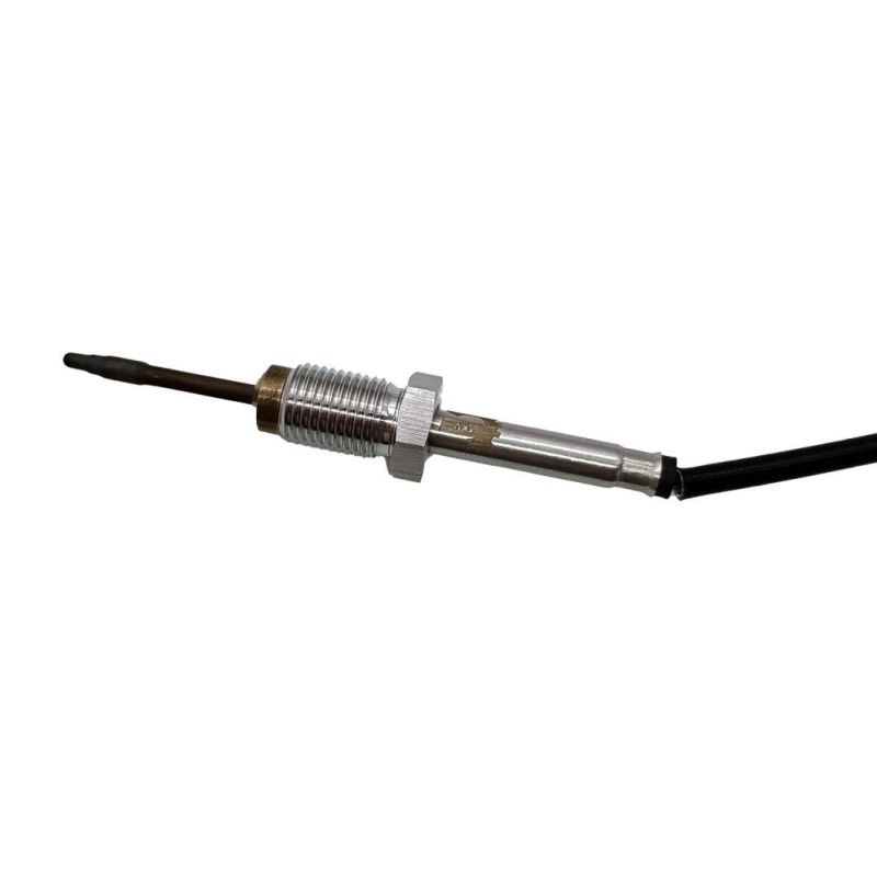 High Quality Auto Parts Exhaust Gas Temperature Sensor A226409845r