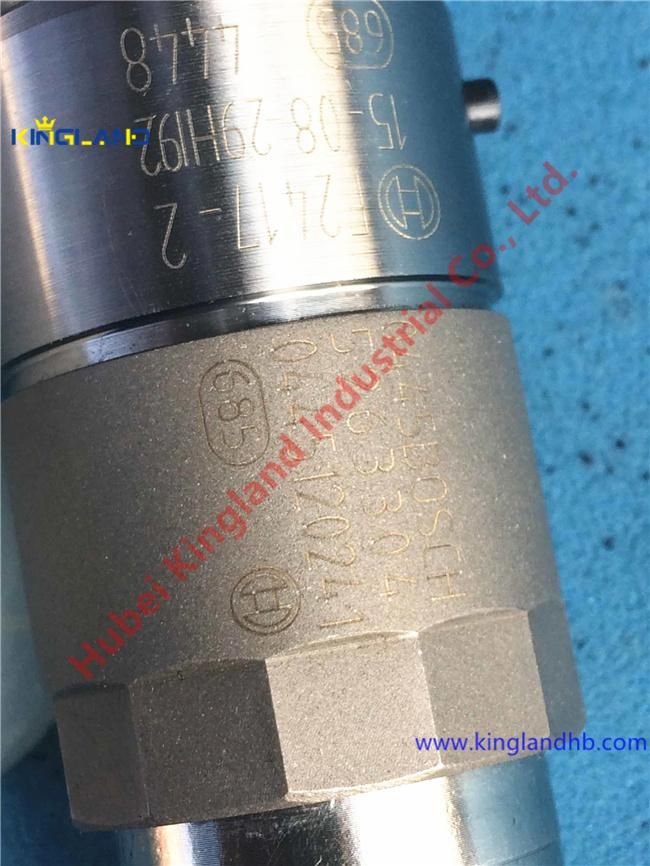 Diesel Engine Auto Parts Fuel Injector Nozzle 0445120241 5263304