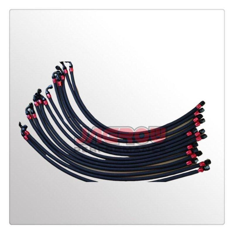 Nylon Braided Oil Hose An10 with Black Red Fittings