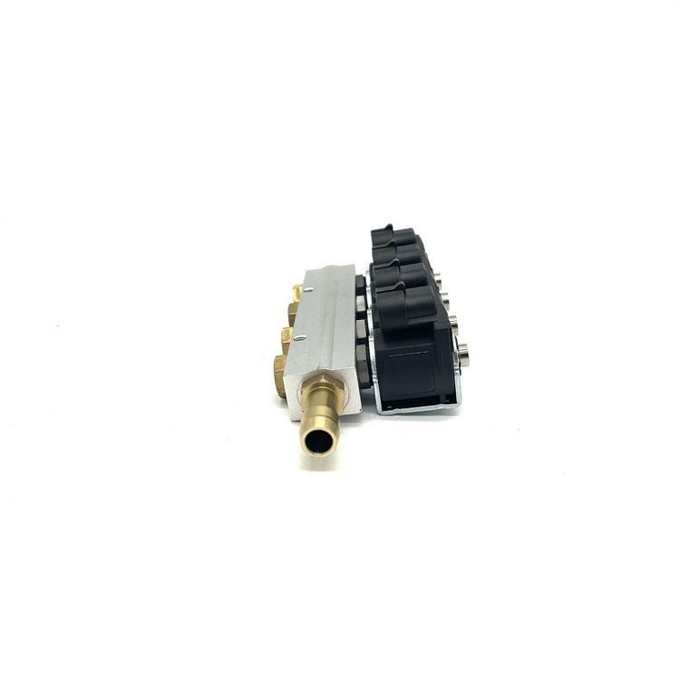 Auto Parts LPG CNG Gdi Injector Rail for Gas Conversion Kit 4 6 Cylinder Fuel System Injector Rail