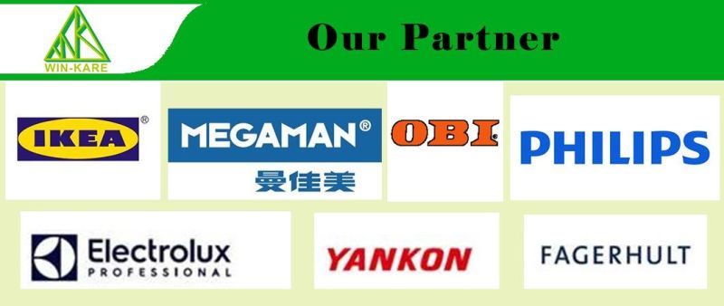 16A125V/6A 250V AC on on Toggle Switch for Equipment