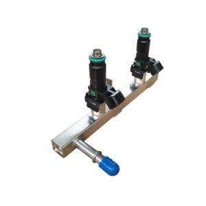 Low Speed Car Engine Spare Auto Parts Fuel Rail Assy for 2 Cylinder Engine B2g06-1112030