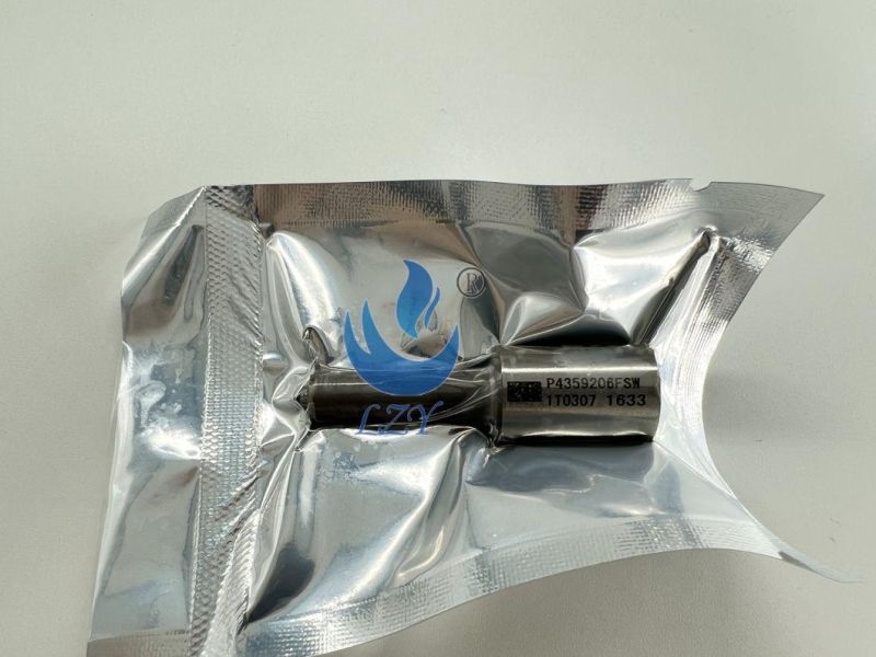 Diesel Engine Parts - Fuel Nozzle P4359206fsw
