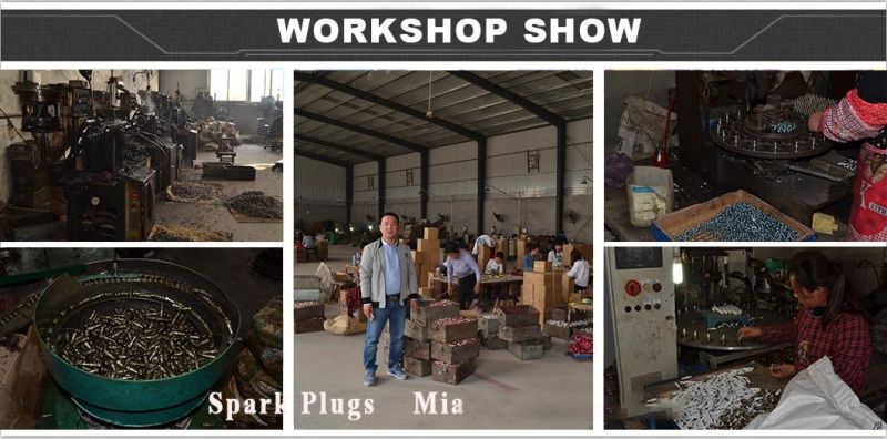 150cc Spark Plug Motorcycle Parts (C7hsa)