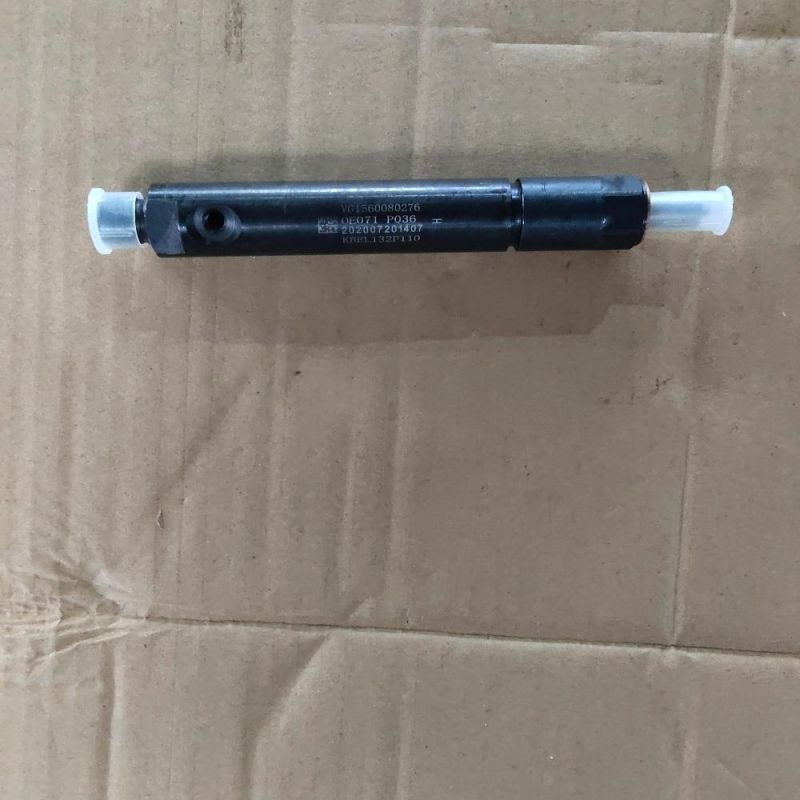Sinotruk Engine Parts Fuel Injector Assembly Vg1034080002
