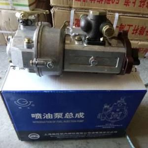 Fuel Injection Pump of 495A Diesel Engine