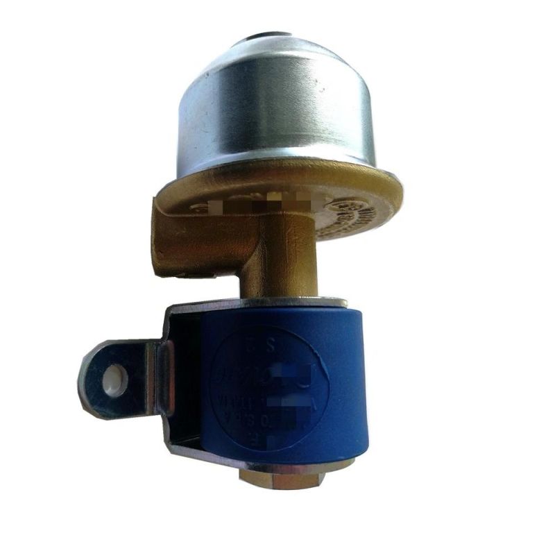 LPG Autogas Solenoid Valve for Autogas Conversion Kit