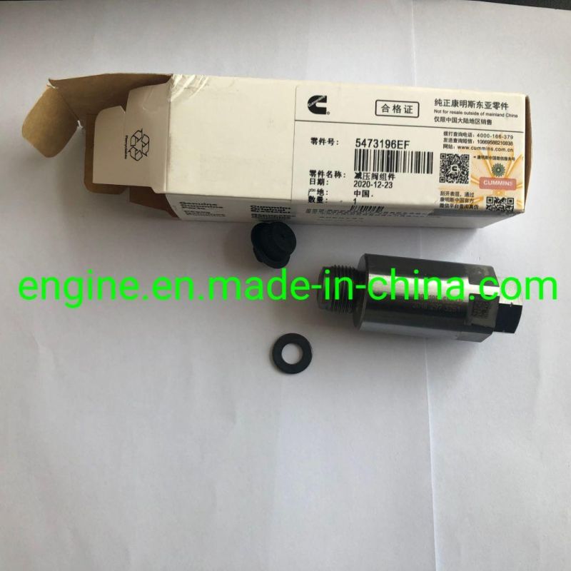 Isz13 Fuel Rail Pipe 2872035 4307370 Relief Valve 4307195 2872401